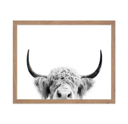 Peeking Cow