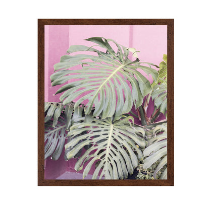Monstera Leaf La Muralla