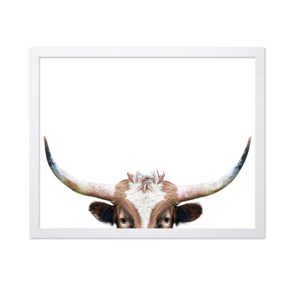 Peeking Longhorn Cow
