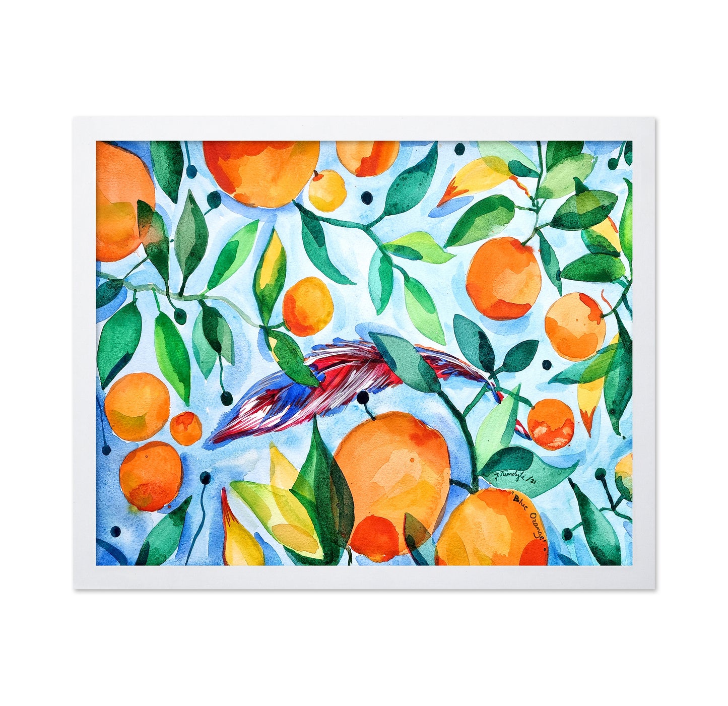 Orange Blue
