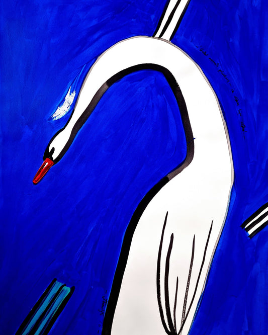Swan Dropped The Feather