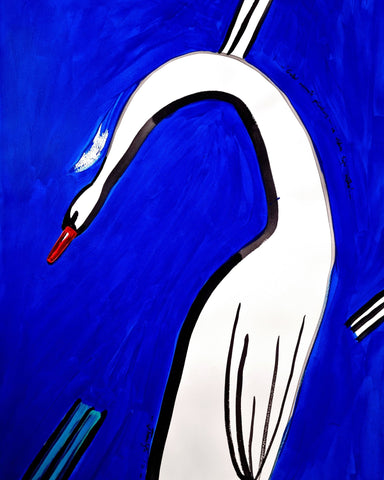 Swan Dropped The Feather