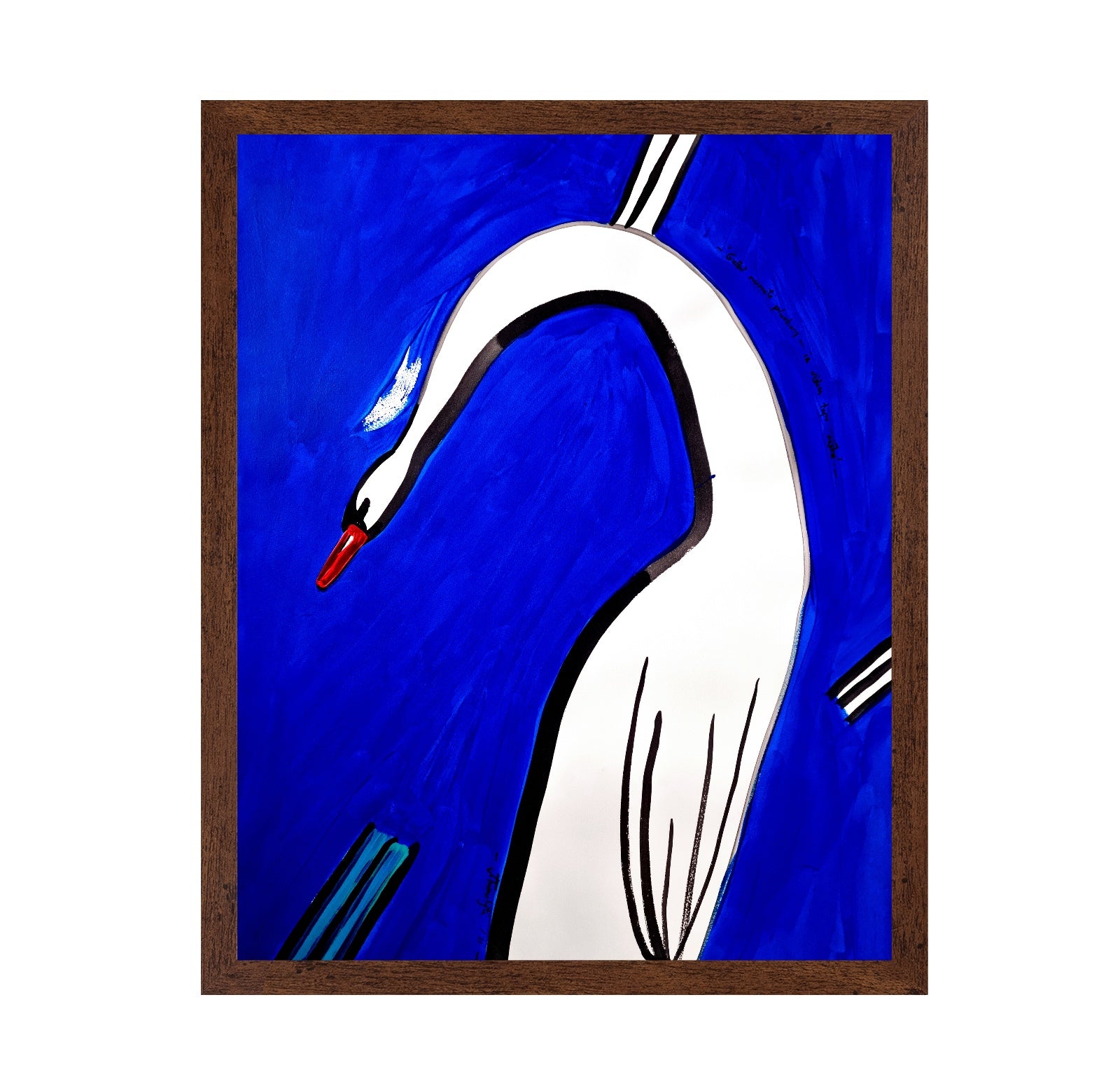 Swan Dropped The Feather