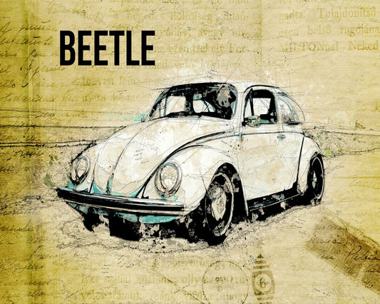 The Iconic Beetle