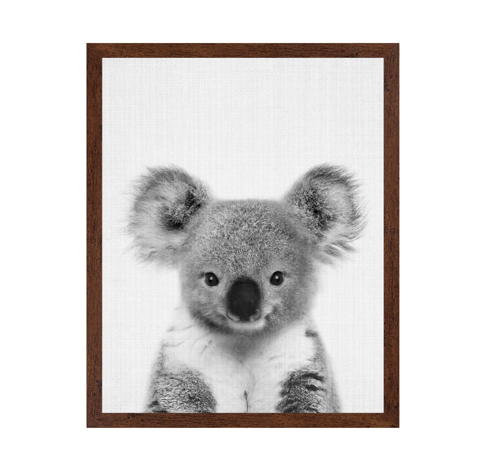 Baby Koala