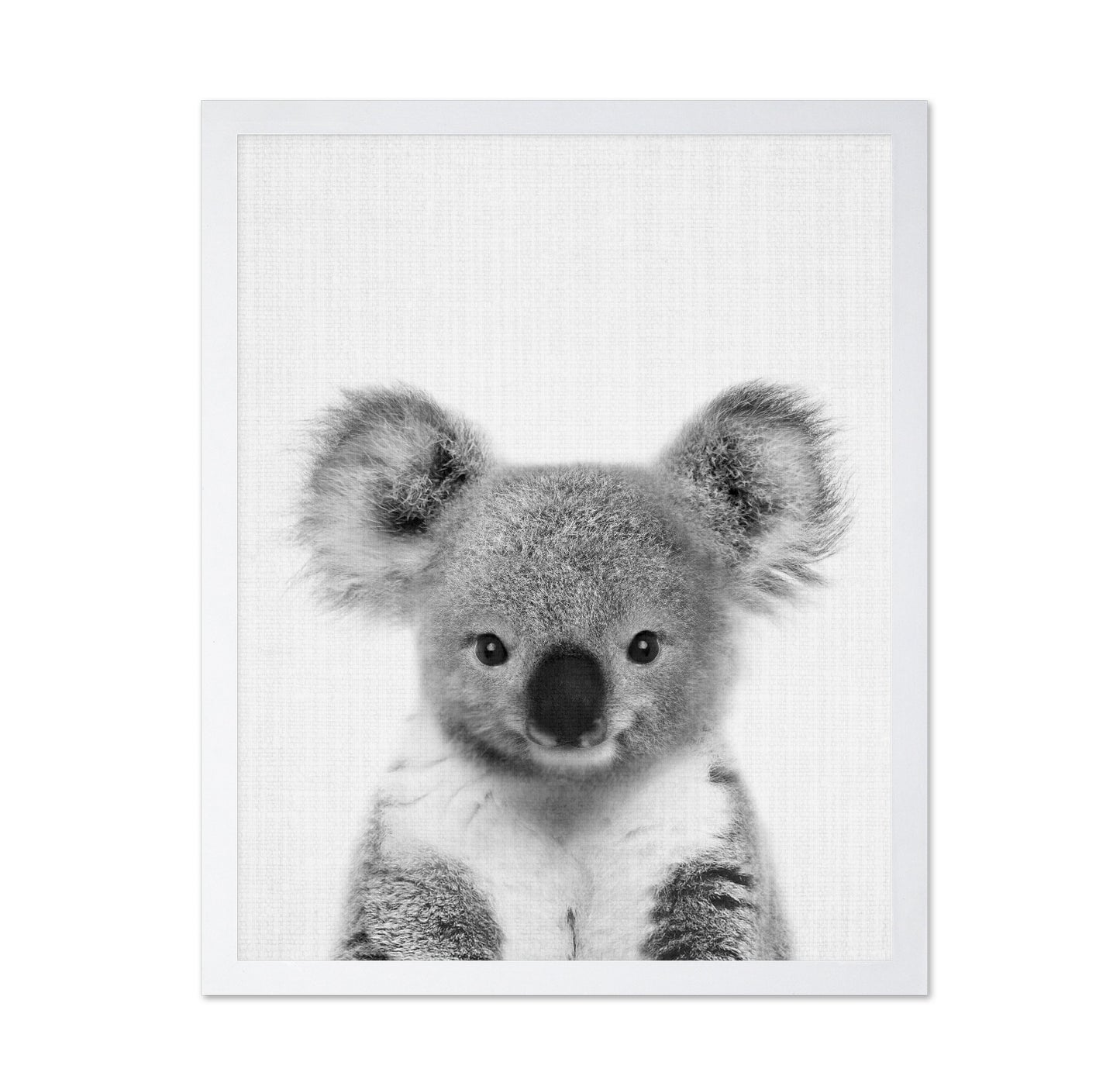 Baby Koala
