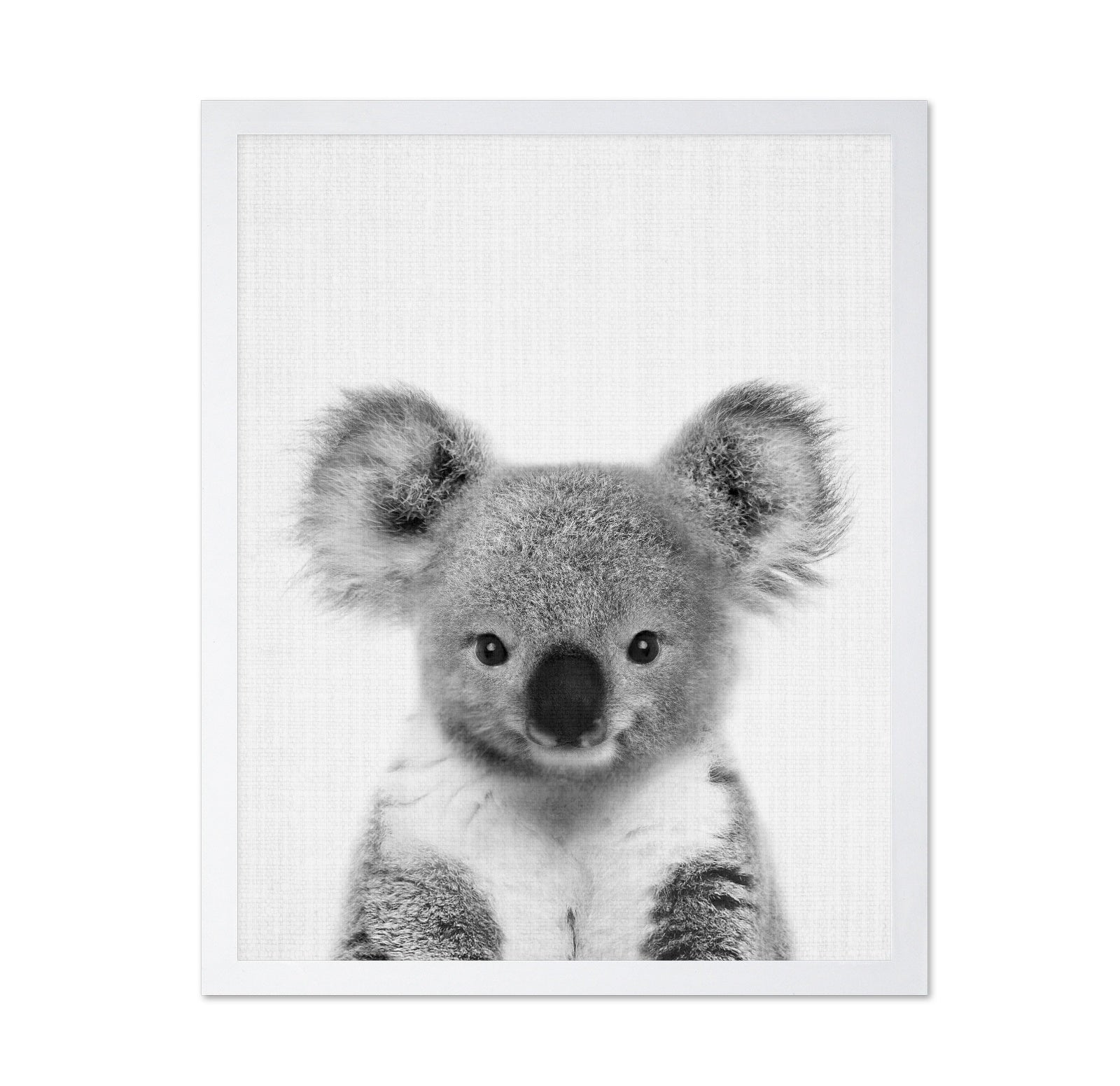 Baby Koala