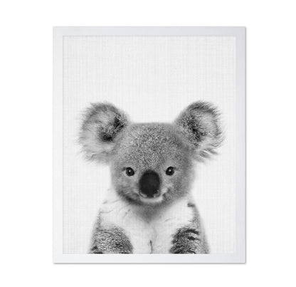 Baby Koala