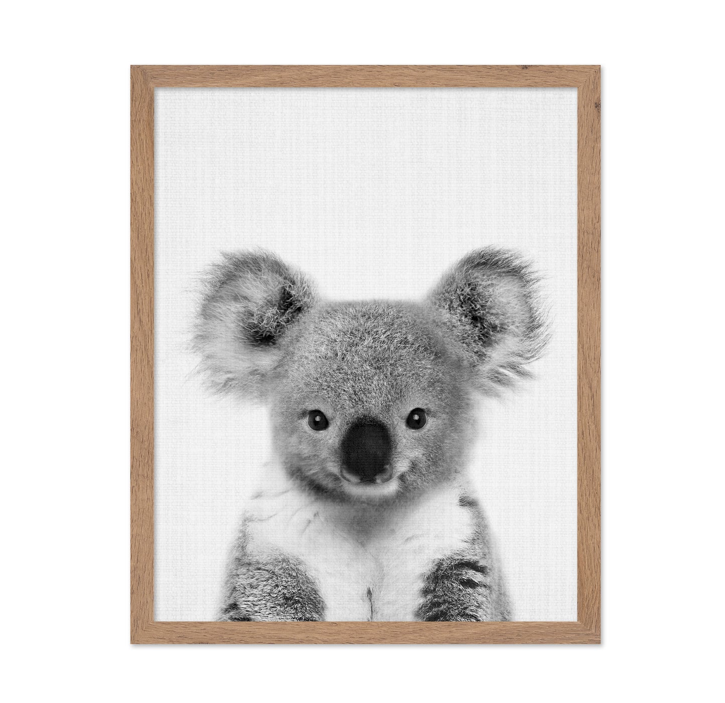 Baby Koala