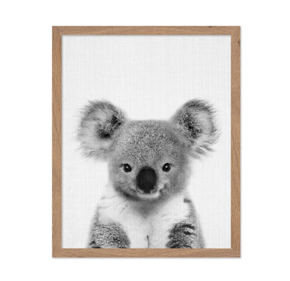Baby Koala