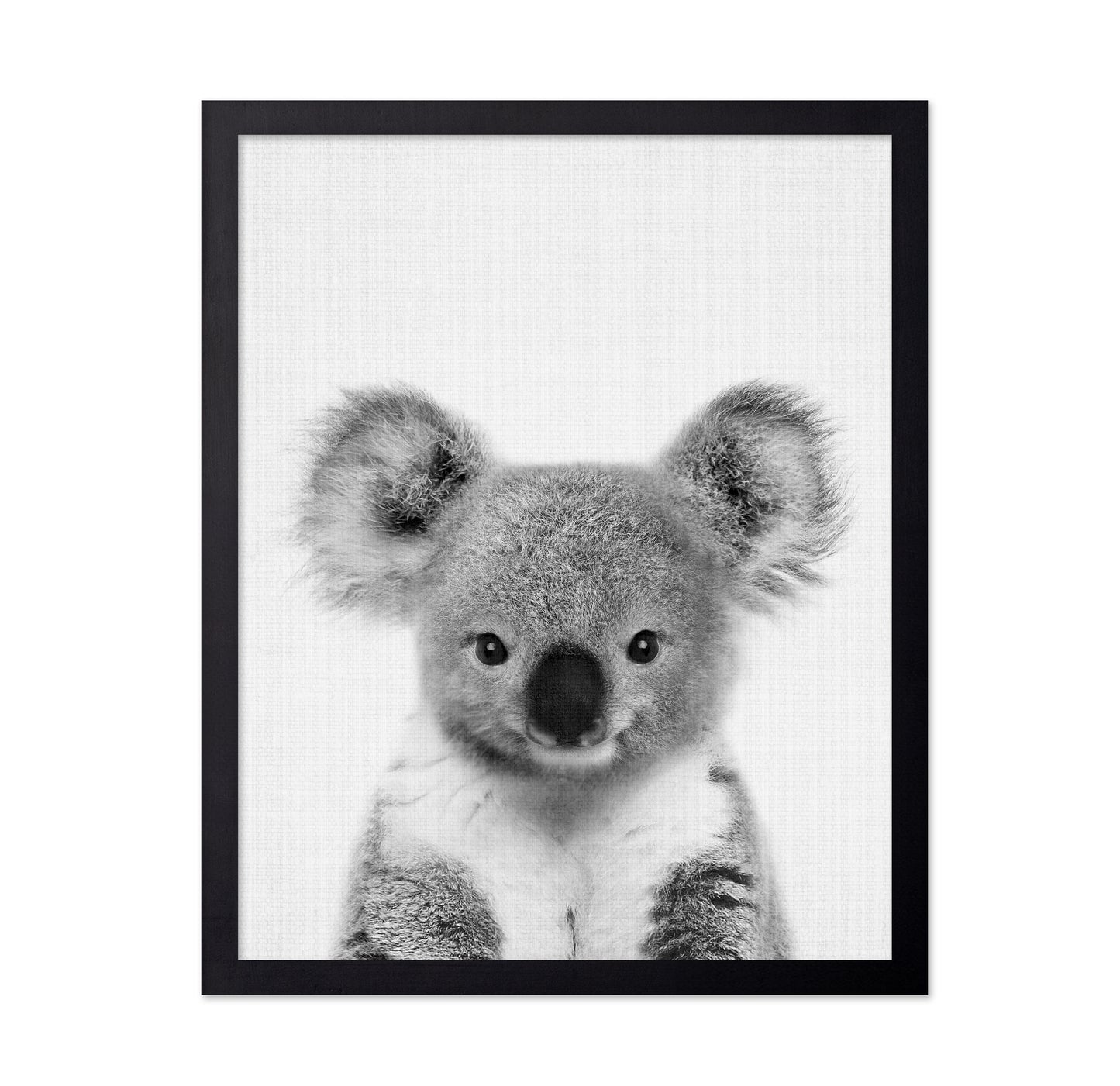 Baby Koala