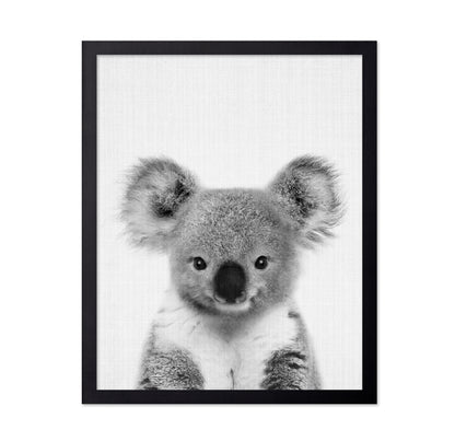 Baby Koala
