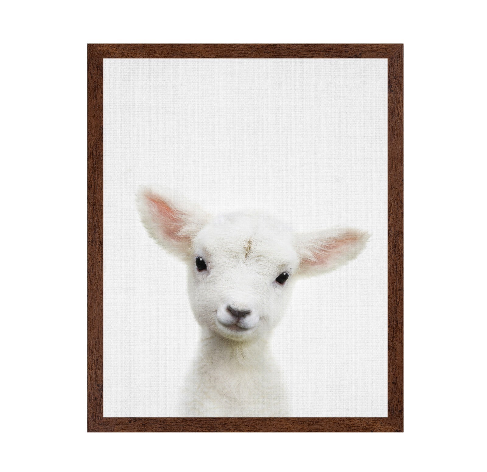 Peekaboo Baby Sheep