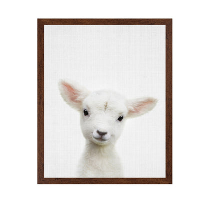 Peekaboo Baby Sheep