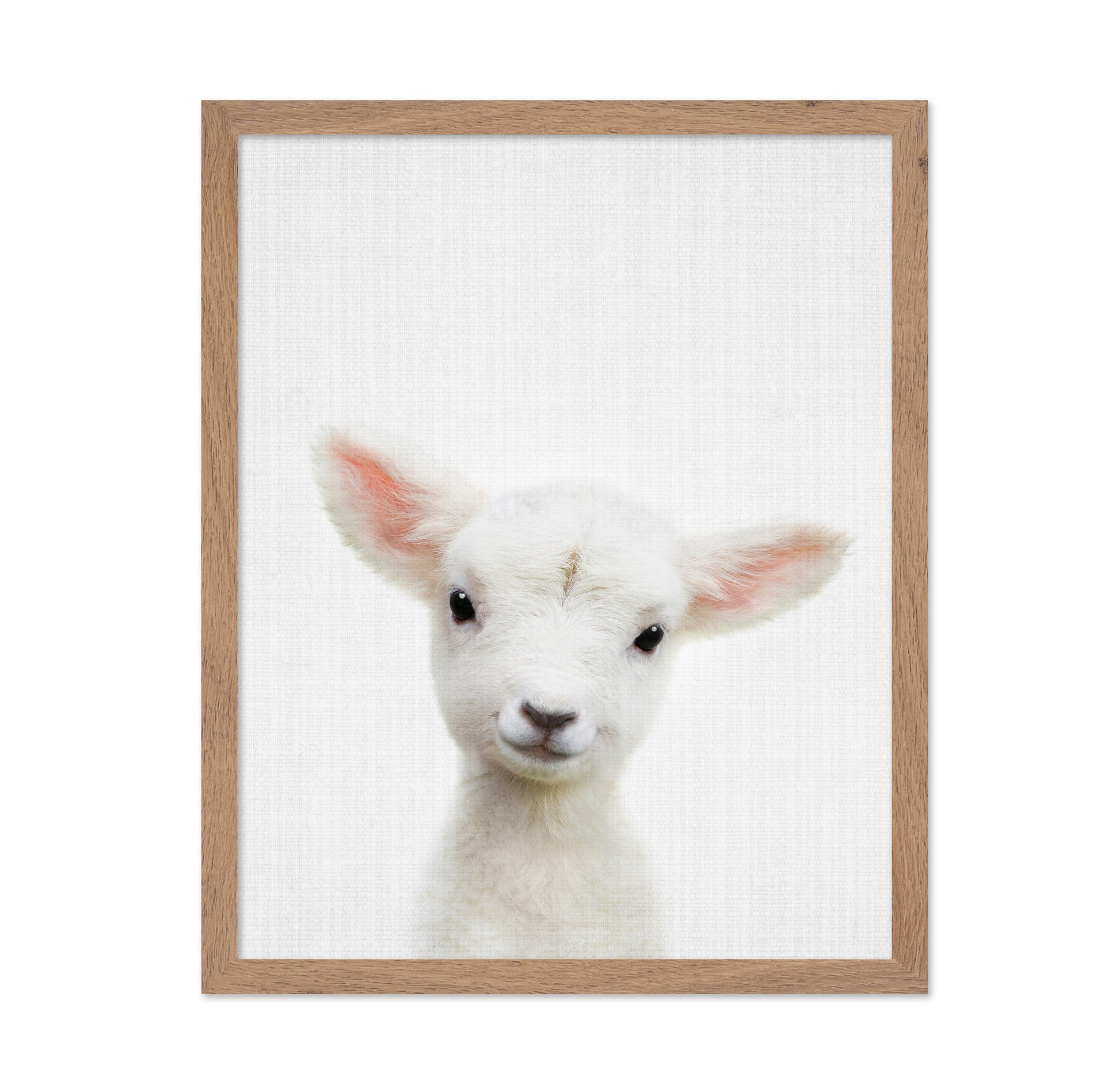 Peekaboo Baby Sheep
