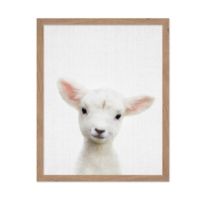 Peekaboo Baby Sheep
