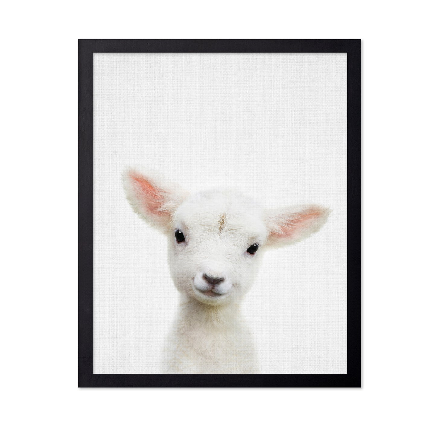 Peekaboo Baby Sheep