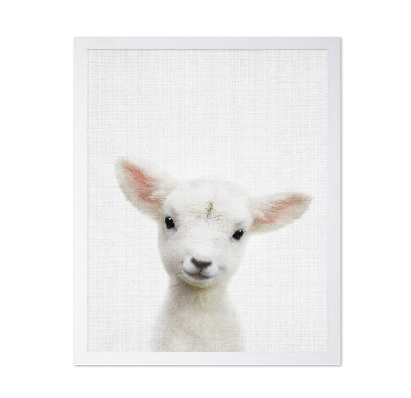 Peekaboo Baby Sheep