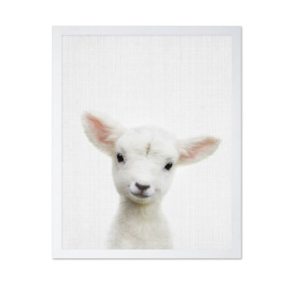 Peekaboo Baby Sheep