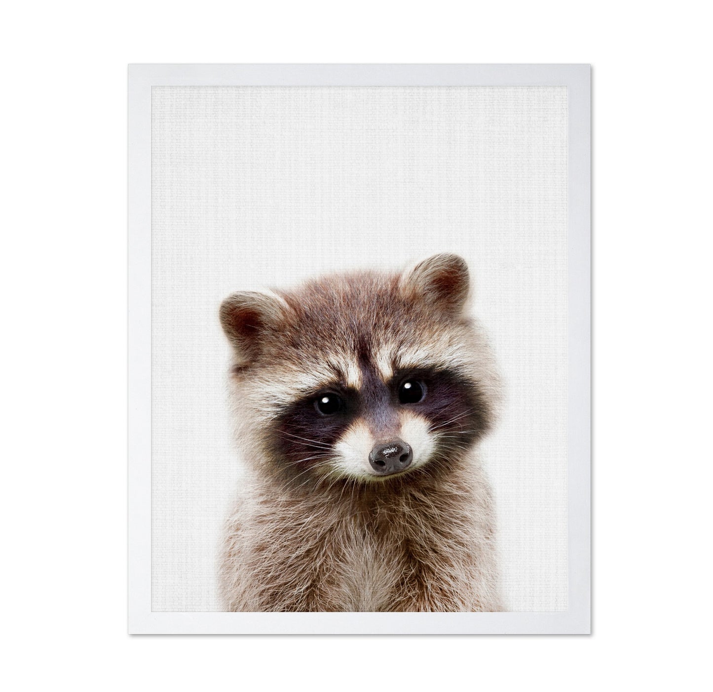 Peekaboo Raccoon