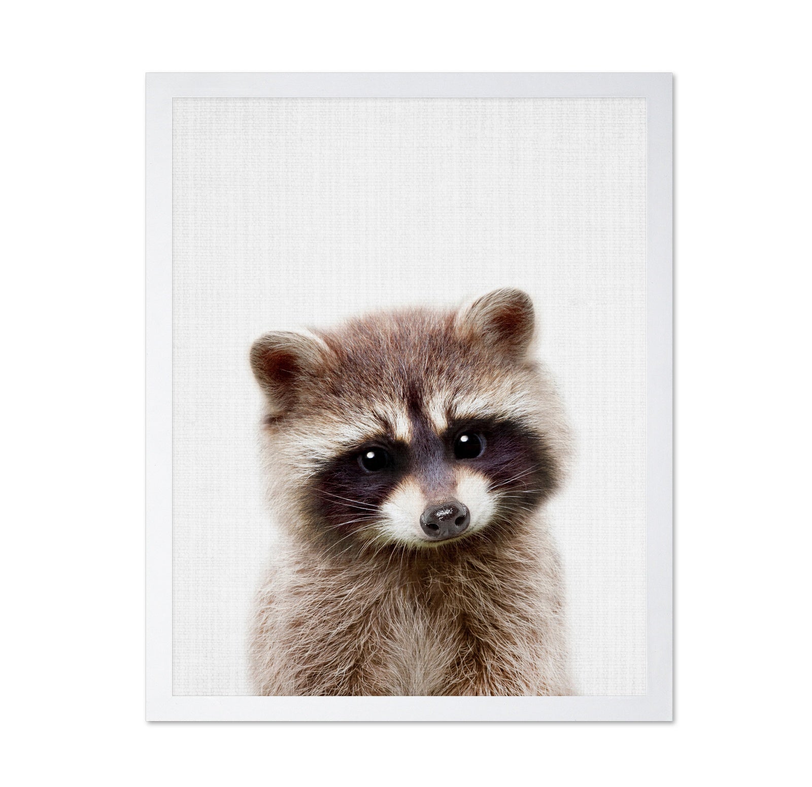 Peekaboo Raccoon