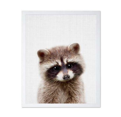 Peekaboo Raccoon