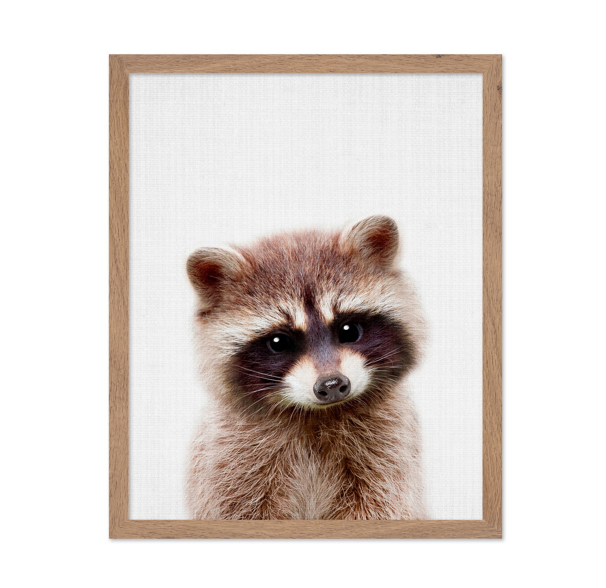 Peekaboo Raccoon