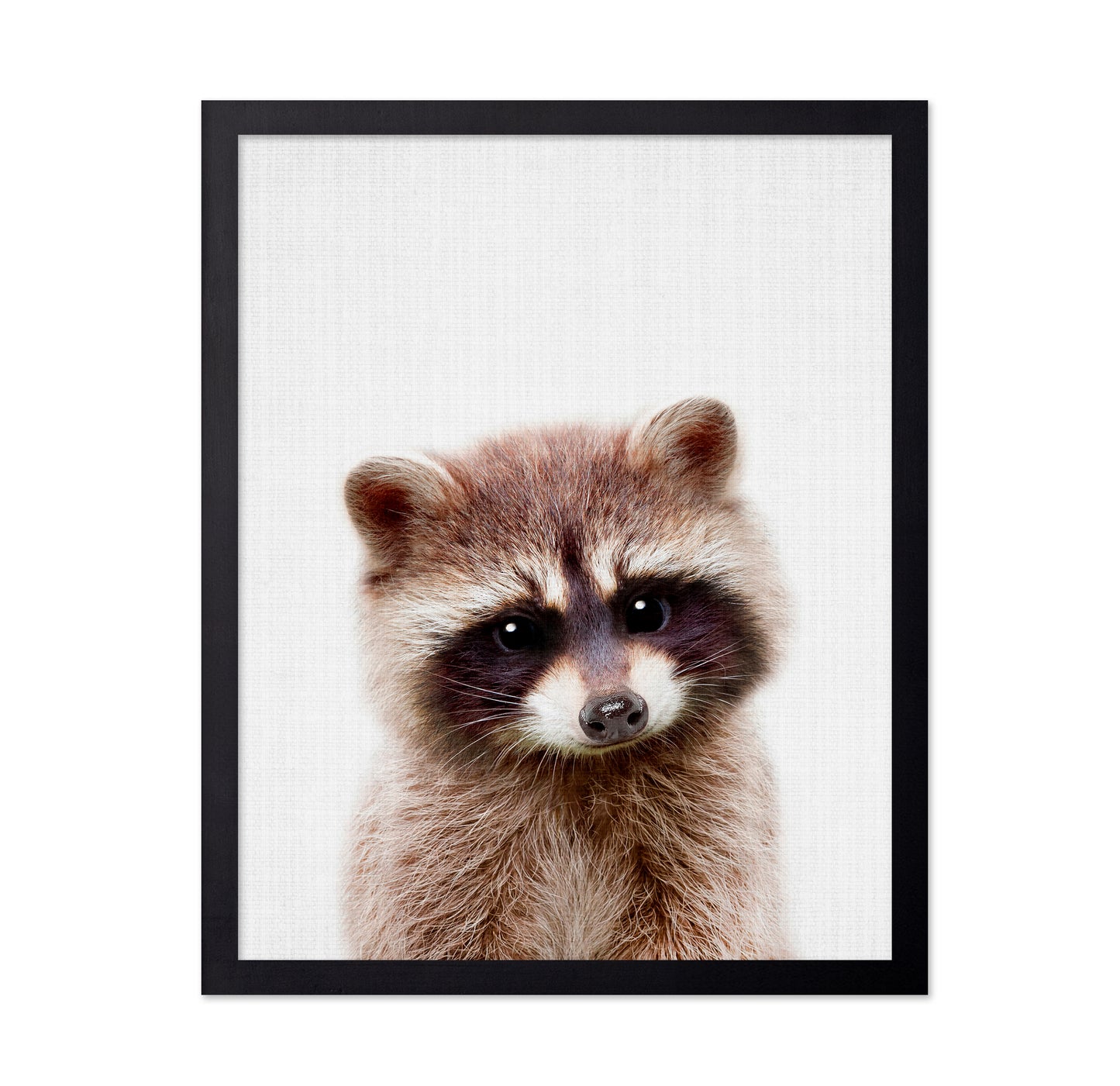 Peekaboo Raccoon