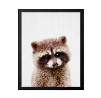 Peekaboo Raccoon