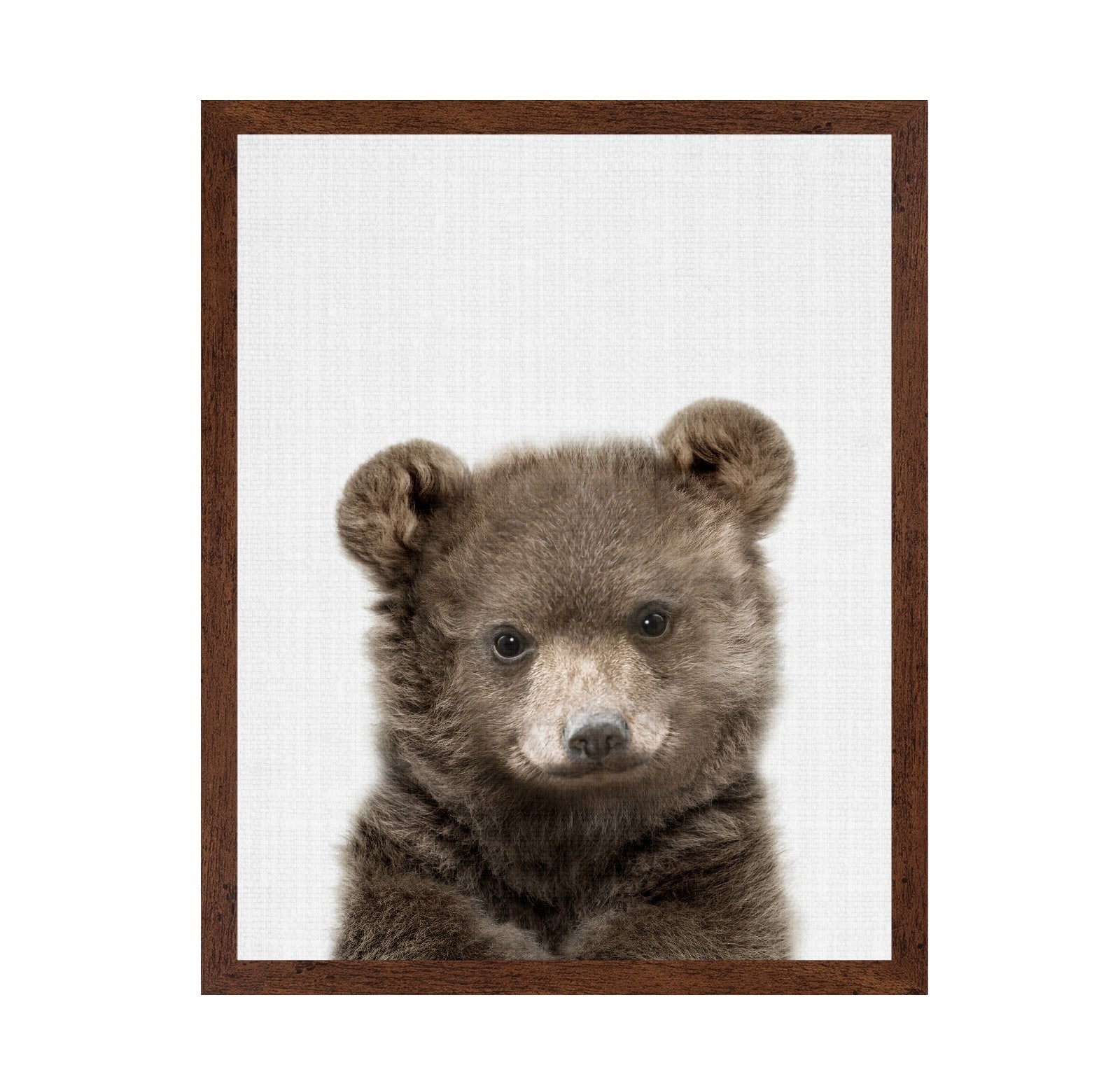 Peekaboo Baby Bear