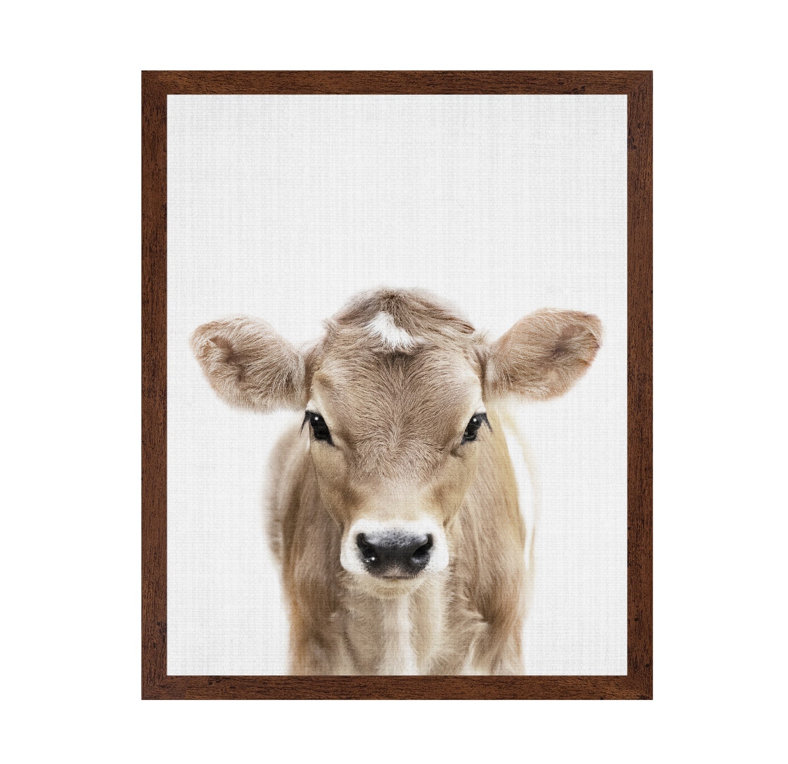 Peekaboo Baby Cow