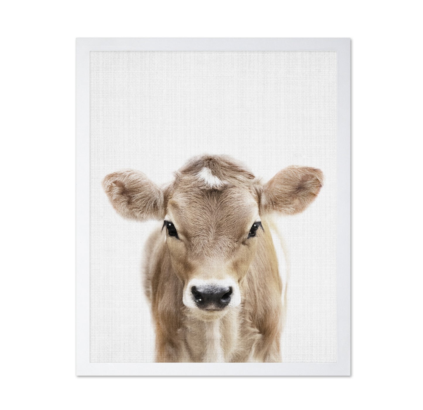 Peekaboo Baby Cow