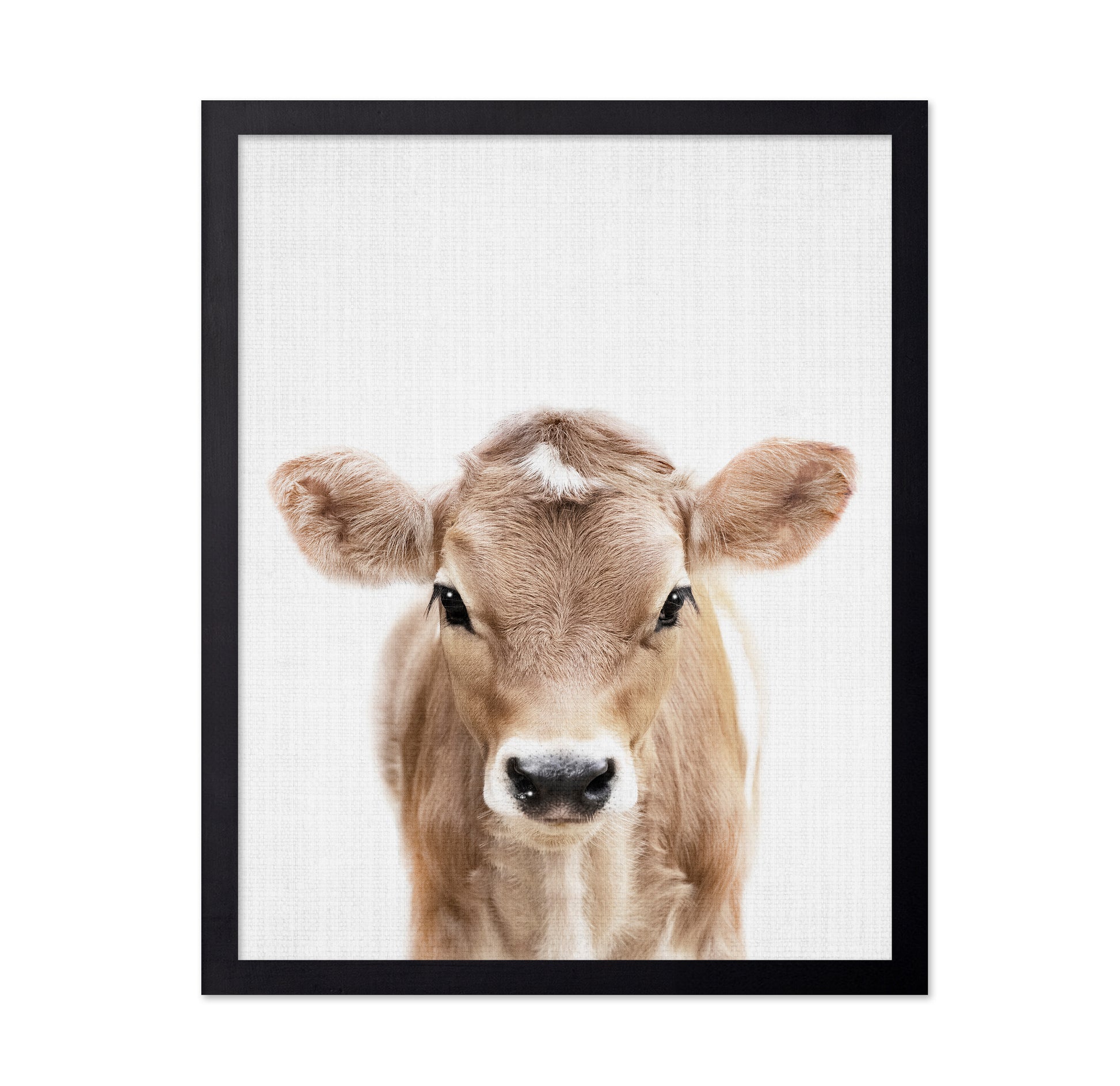 Peekaboo Baby Cow