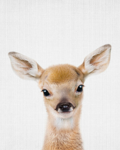 Peekaboo Baby Deer