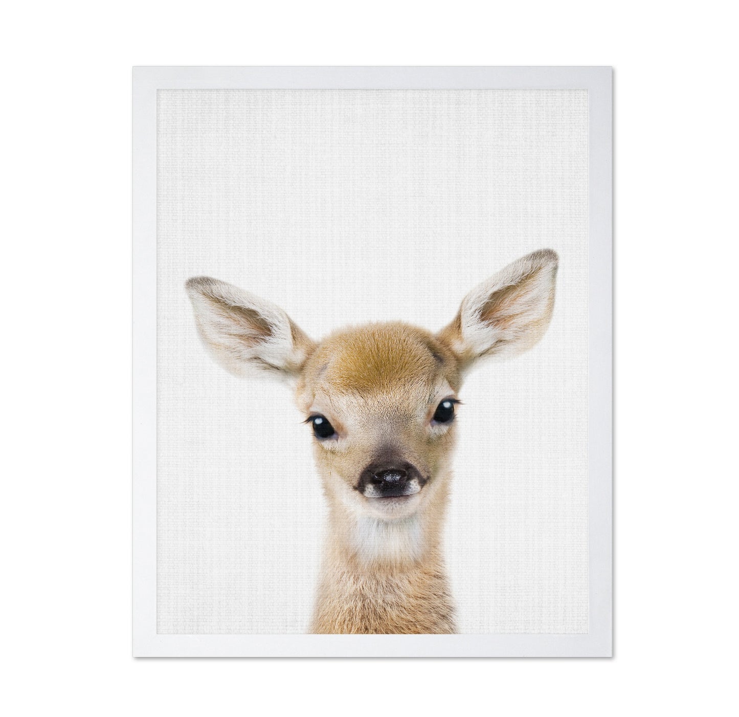 Peekaboo Baby Deer