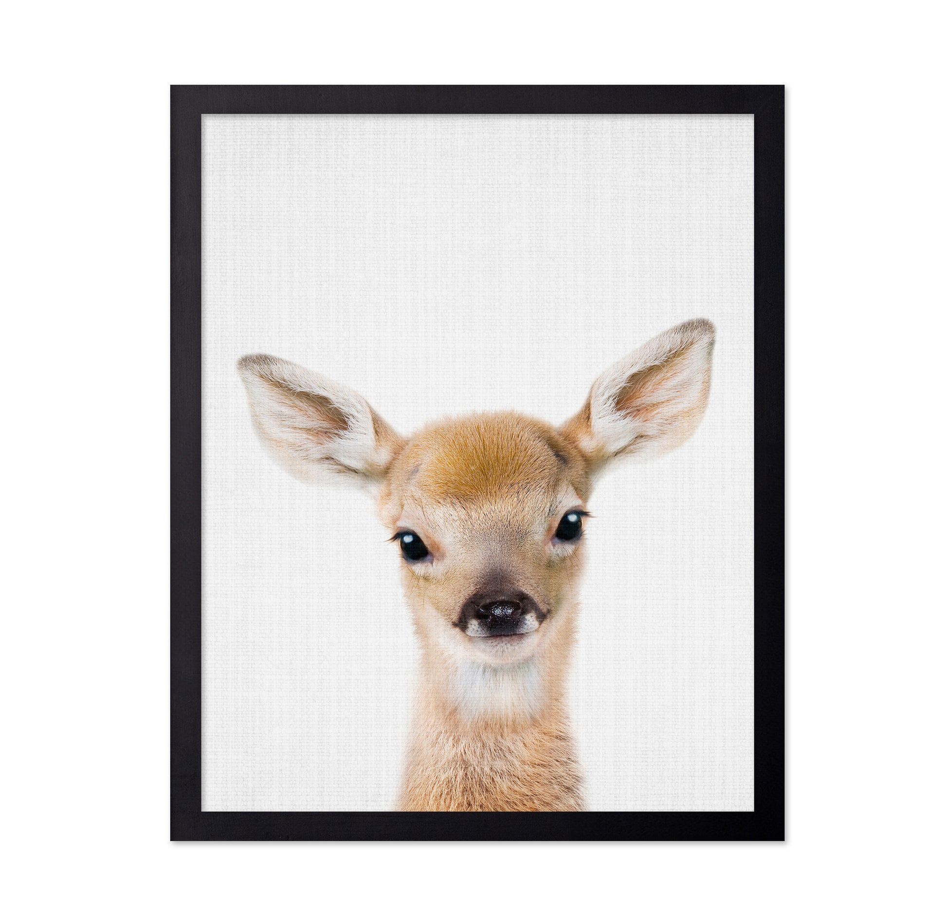 Peekaboo Baby Deer