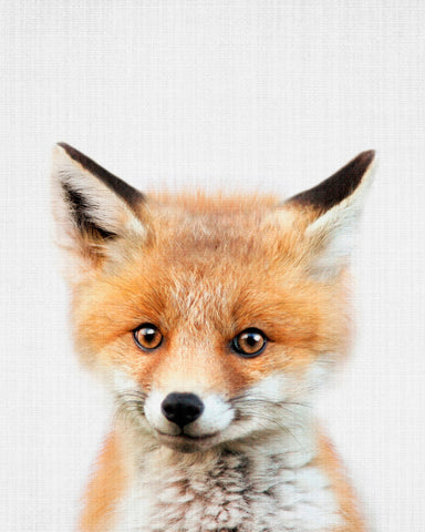 Peekaboo Baby Fox