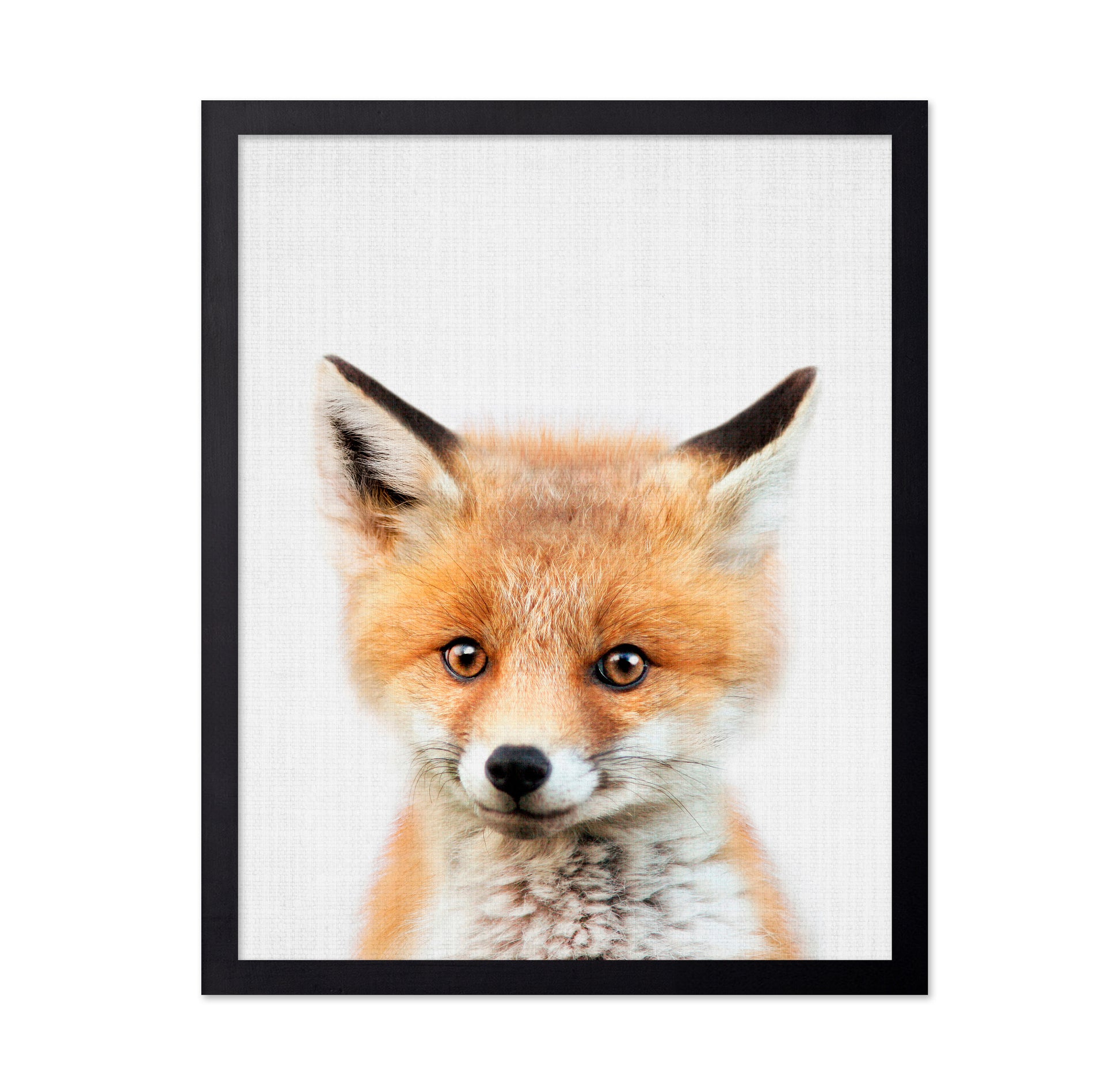 Peekaboo Baby Fox