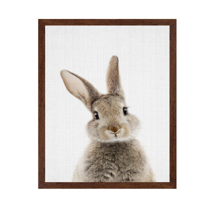 Peekaboo Bunny