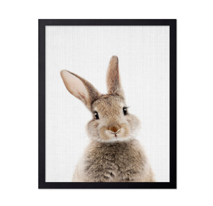 Peekaboo Bunny