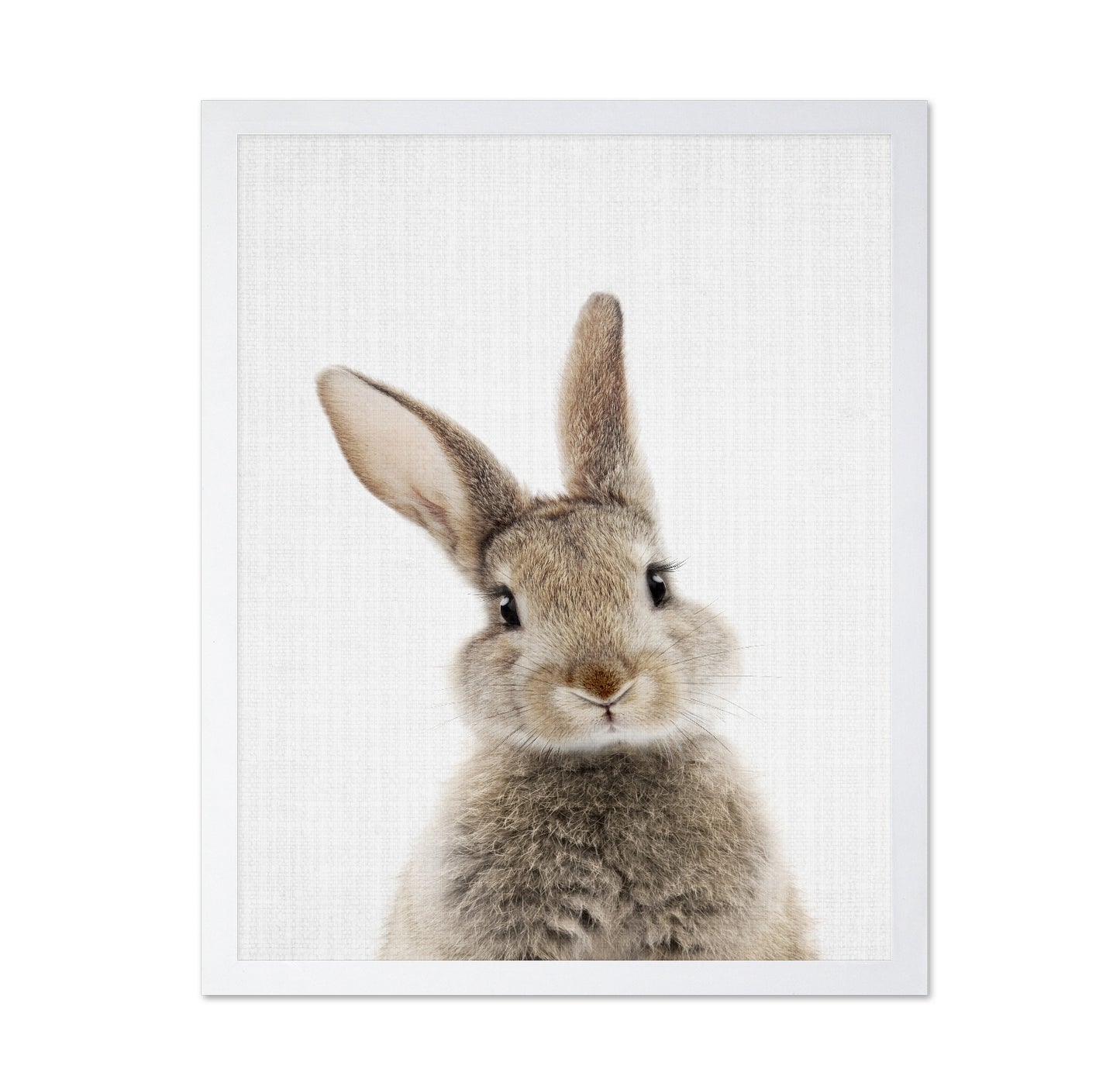 Peekaboo Bunny