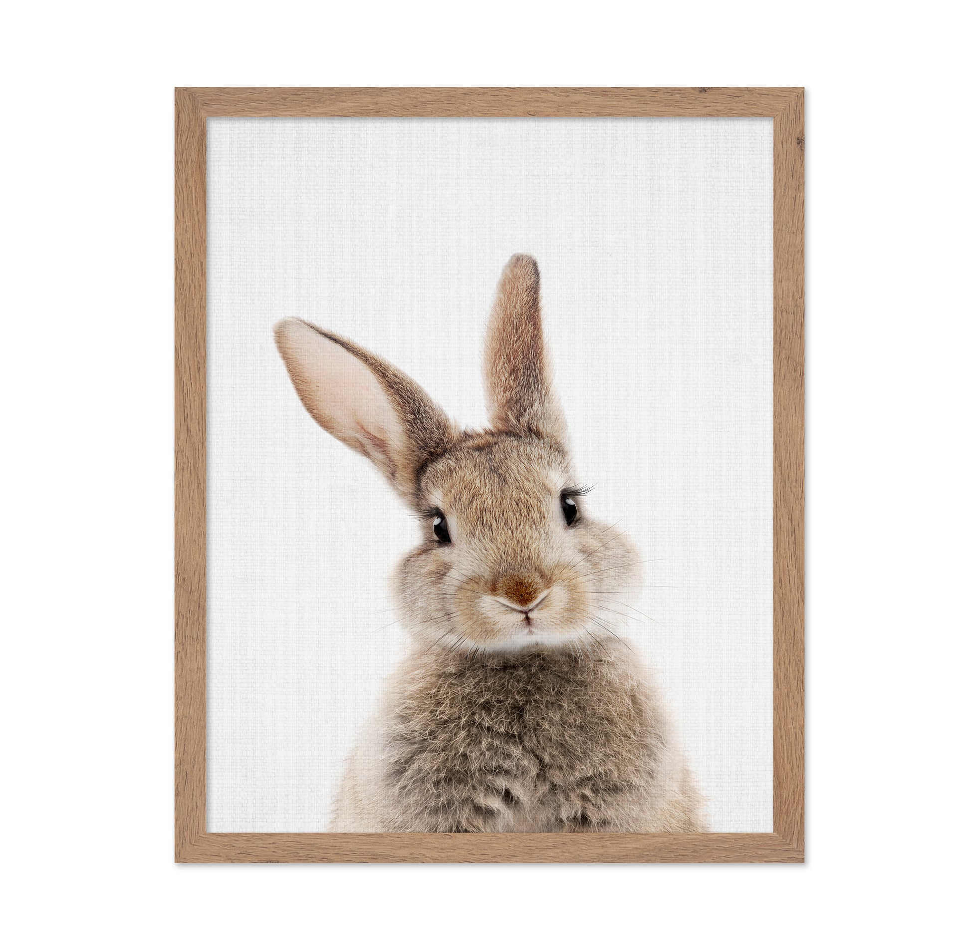 Peekaboo Bunny