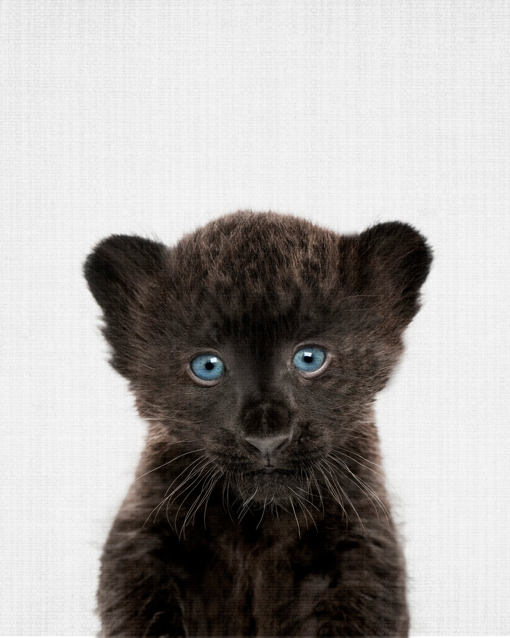 Peekaboo Baby Panther