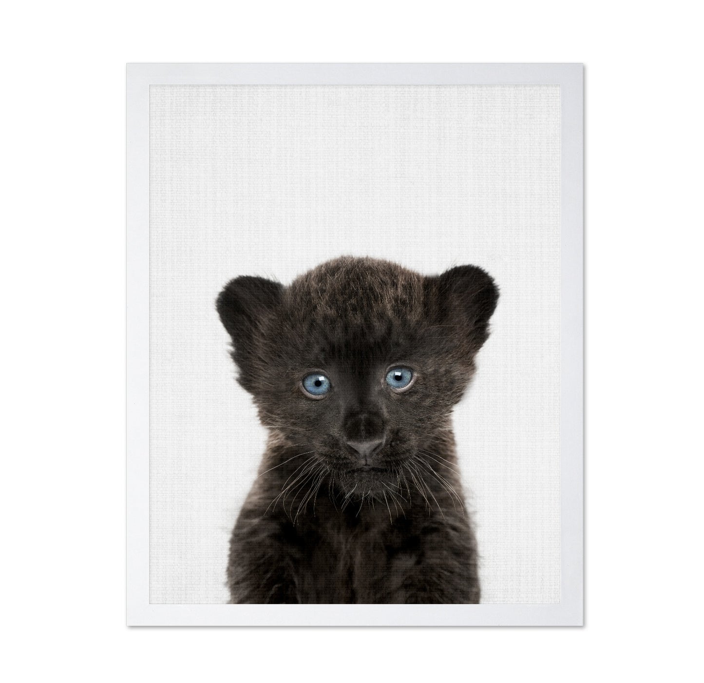 Peekaboo Baby Panther