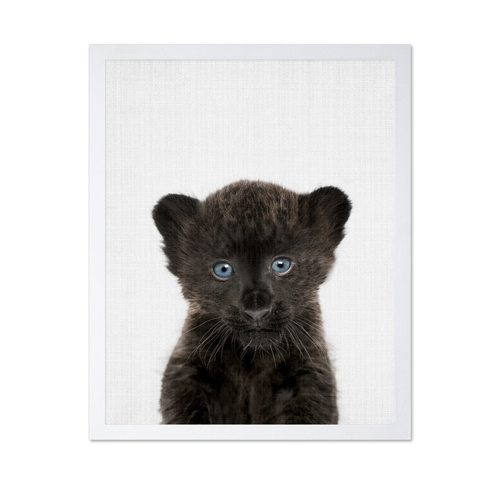 Peekaboo Baby Panther