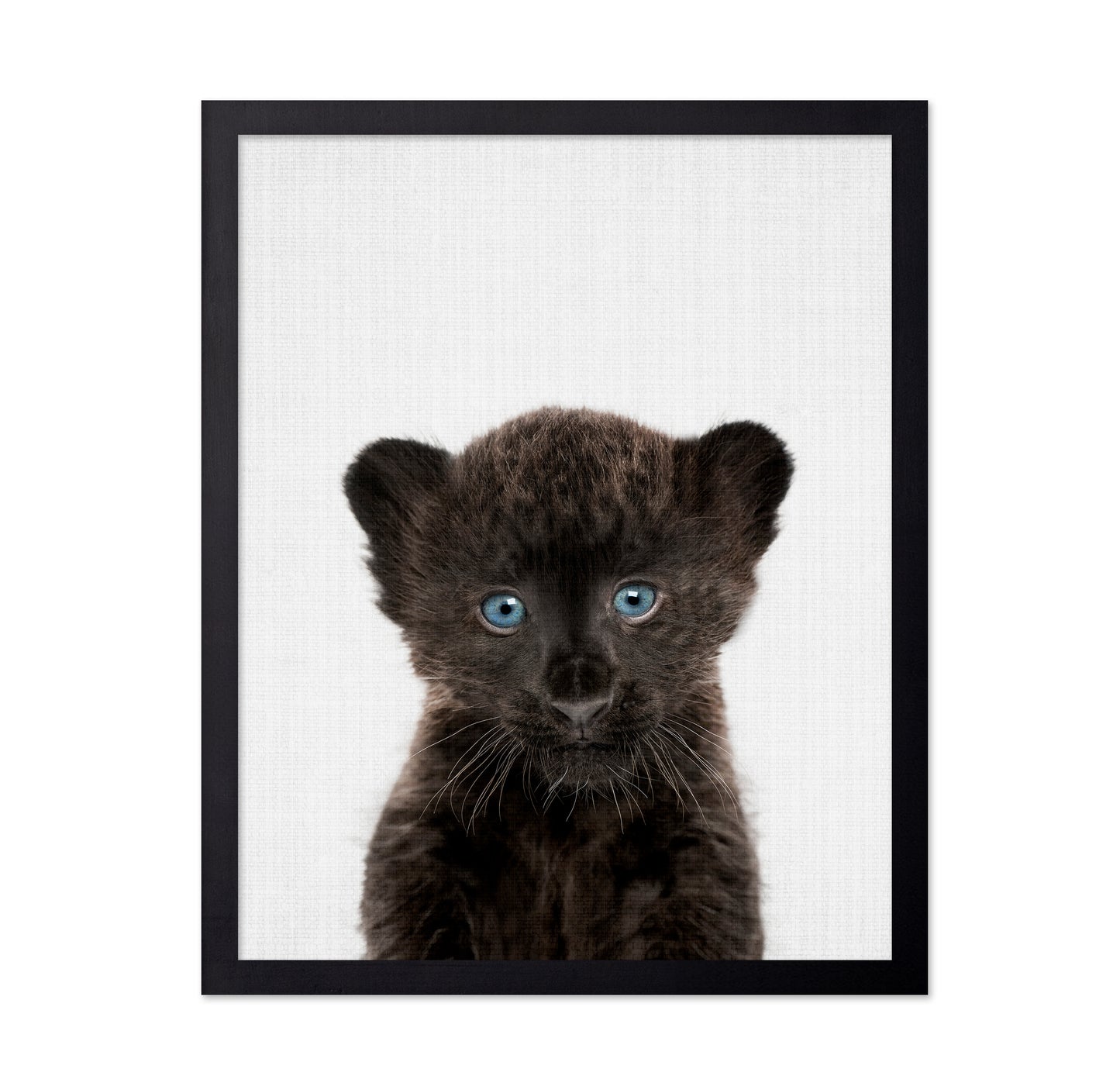 Peekaboo Baby Panther