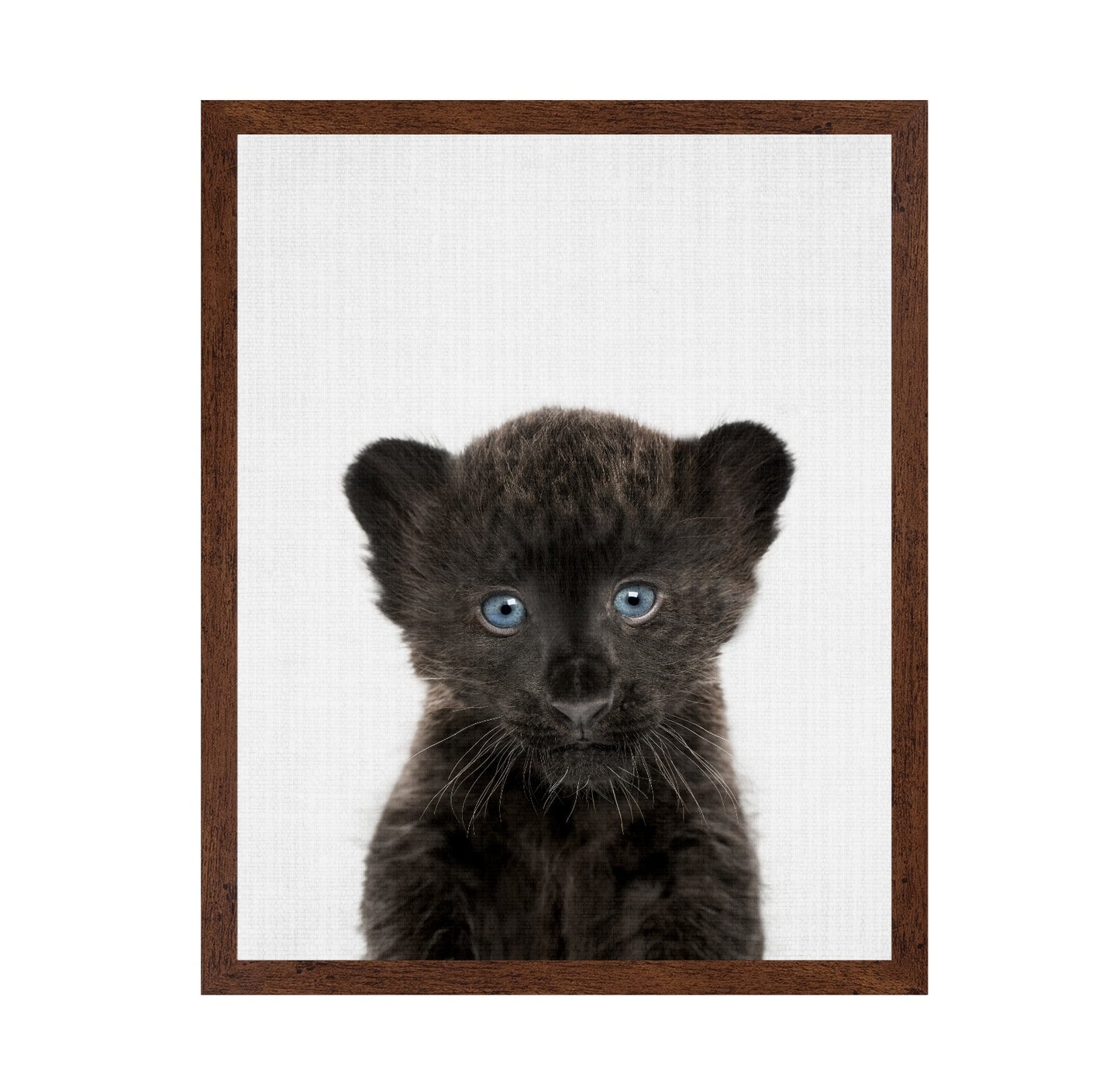 Peekaboo Baby Panther