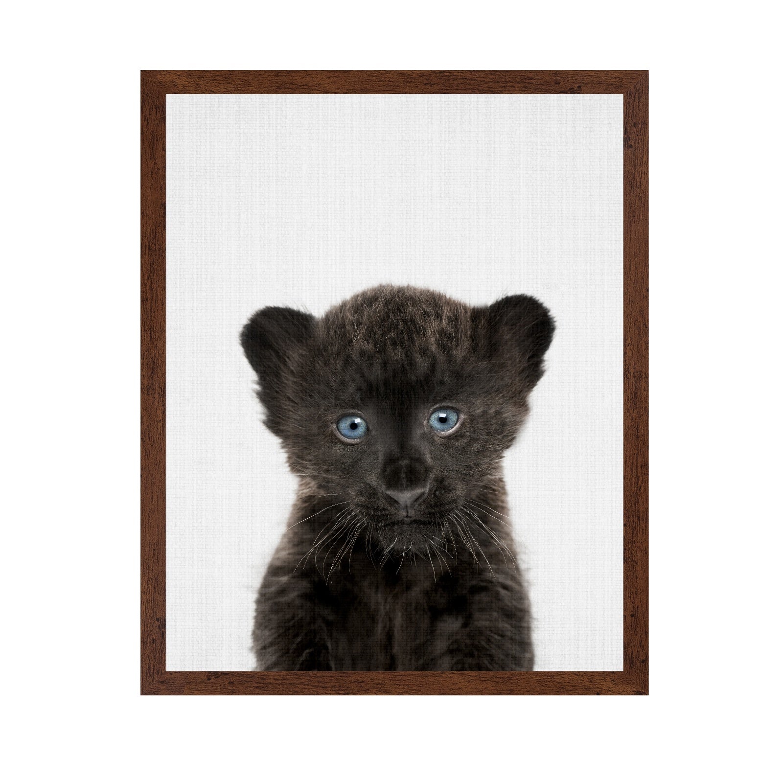 Peekaboo Baby Panther