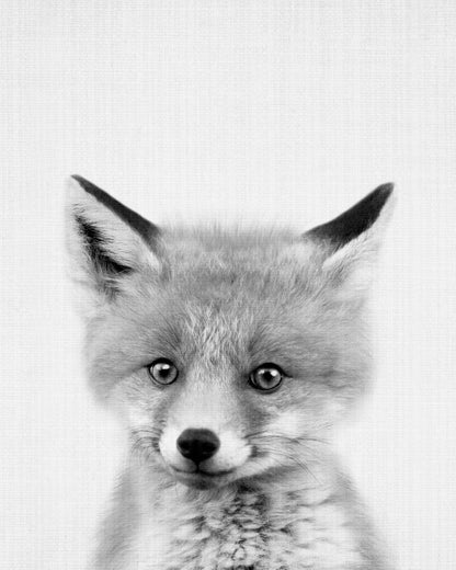 Black & White Peekaboo Fox