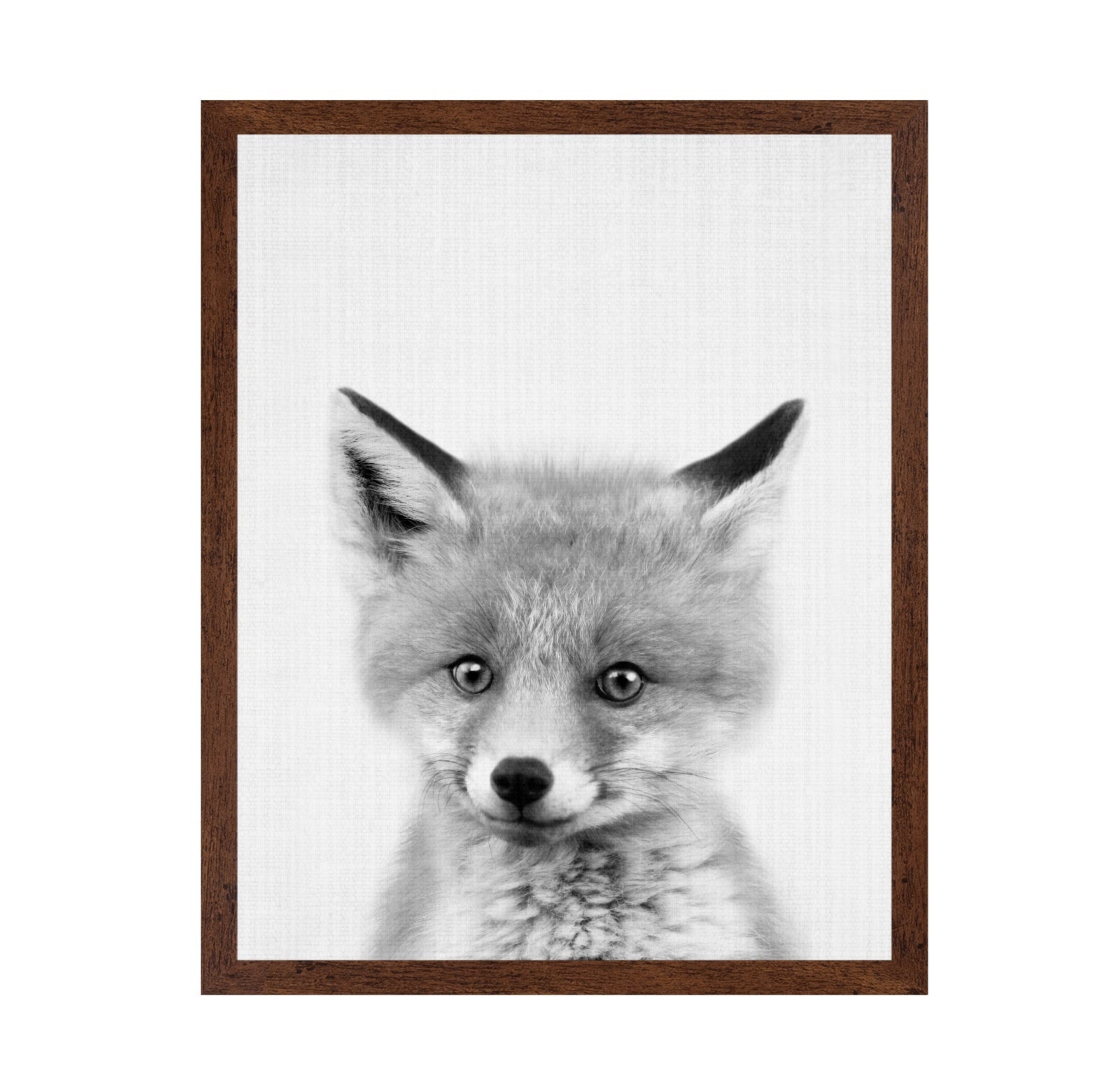 Black & White Peekaboo Fox